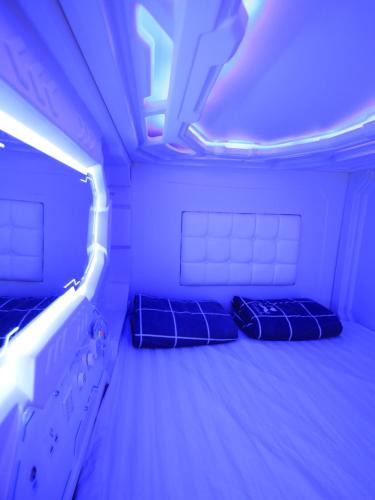 Lavender Hostel | Spacepod@hive