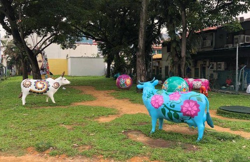 Rochor Hostel | 20 m² Hostel ∙ 127 guests