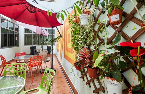 Lavender Hostel | 20 m² Hostel ∙ 10 guests