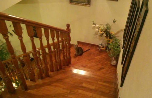 Yishun Resort | Private room ∙ 3 guests