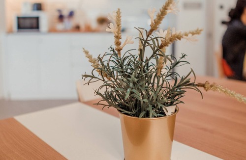 Lavender Hostel | BEAT. Sports Hostel