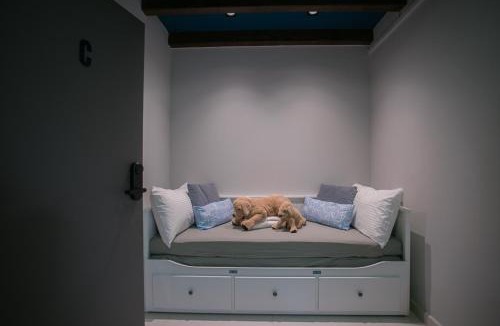 Financial District Singapore Hostel | Bluewaters Collab Quarters