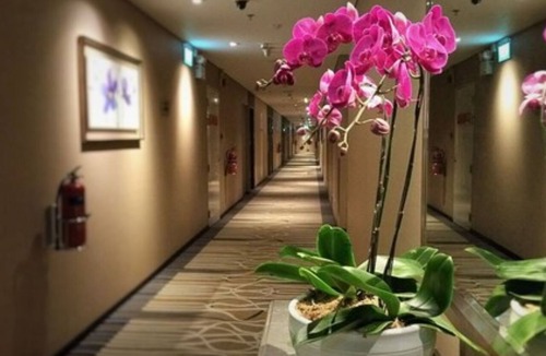 South East Division Hotel | Changi Transit Hotel Terminal 3