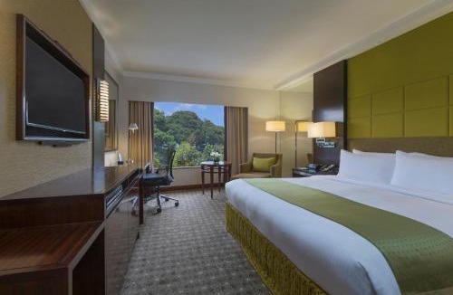 Somerset Hotel | Holiday Inn Singapore Orchard City Centre by IHG