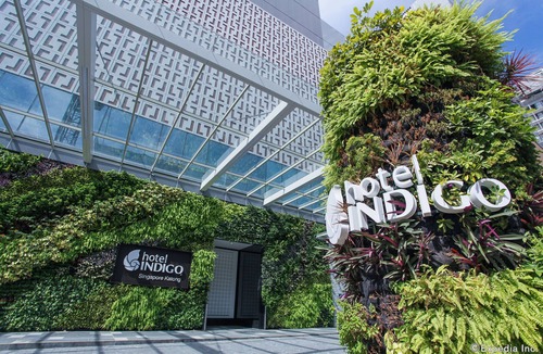 Katong Hotel | Hotel Indigo Singapore Katong by IHG