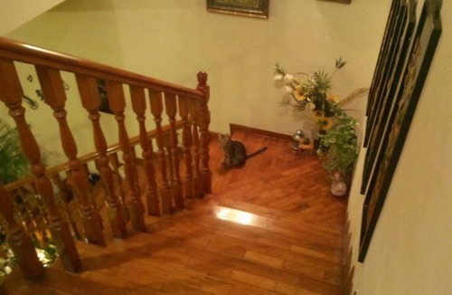 Yishun Resort | Private room ∙ 3 guests