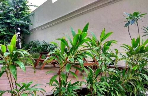 Orchard Apartment | Studio Apartment 7 on Orchard Road
