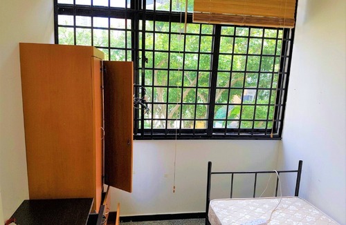 Jalan Besar Apartment | window greenery room1 near CitySQ Mall