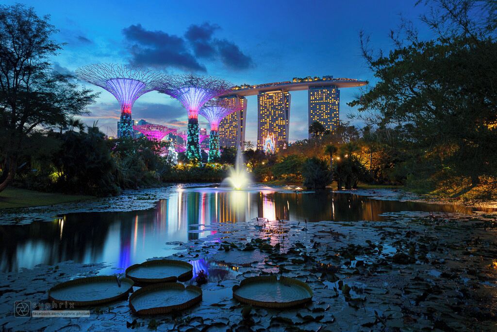 Orchard Apartment | Deluxe 2 Bedroom Apartment at Orchard Singapore