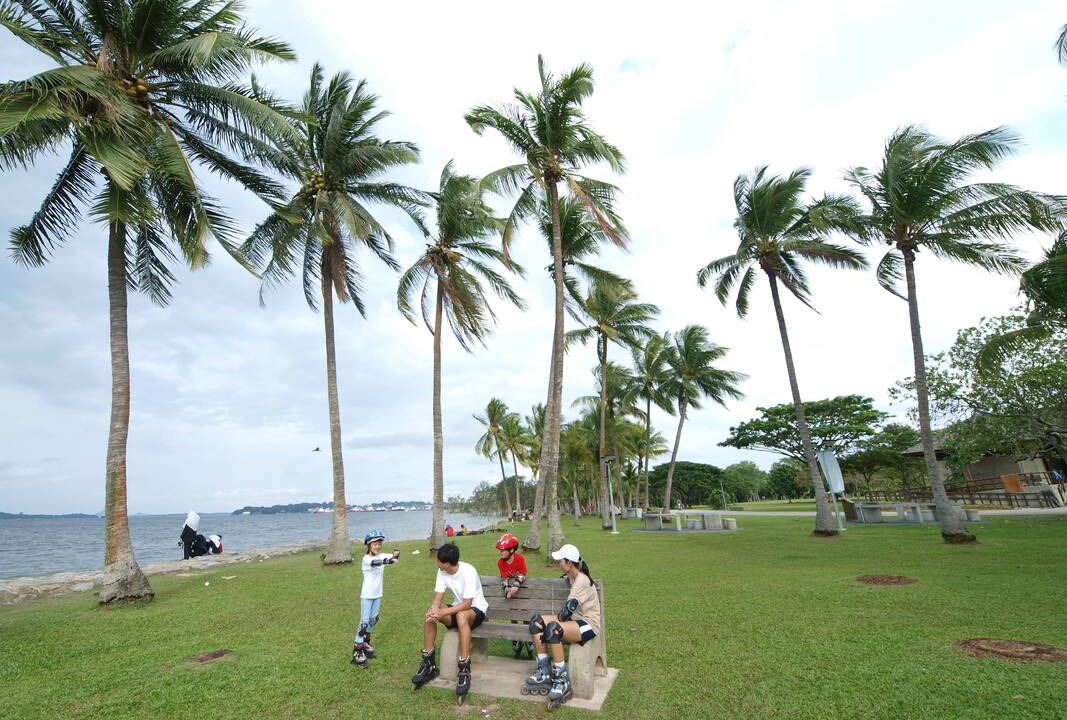 Photo of Others in Pasir Ris