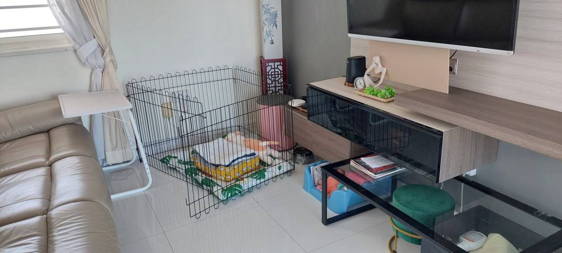 Photo of Others in Sengkang