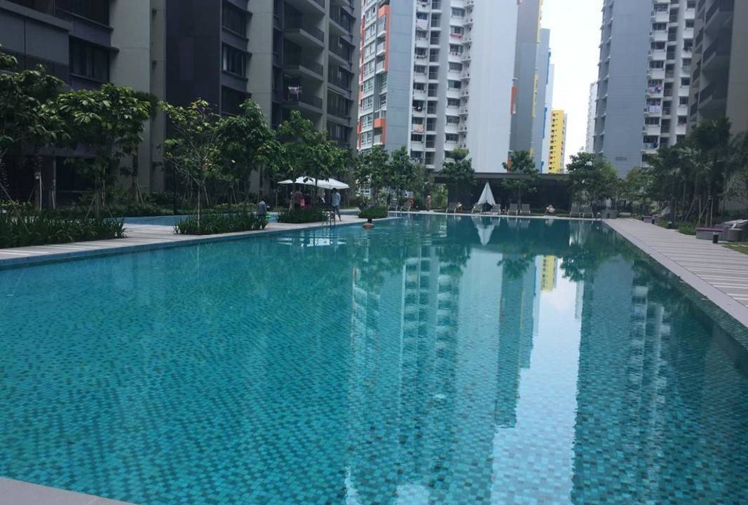 Photo of Others in Punggol