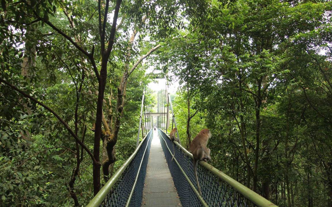 Photo of Others in Thomson Road