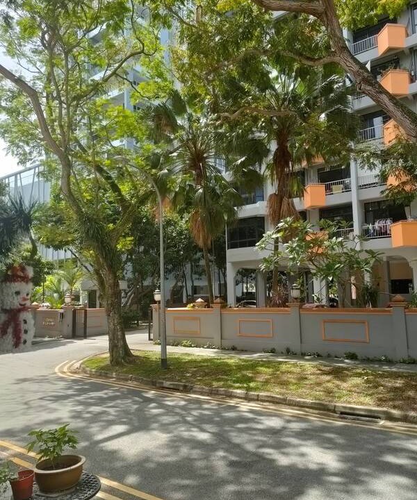 Photo of Others in Rochor