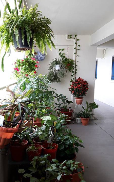 Photo of Others in Hougang