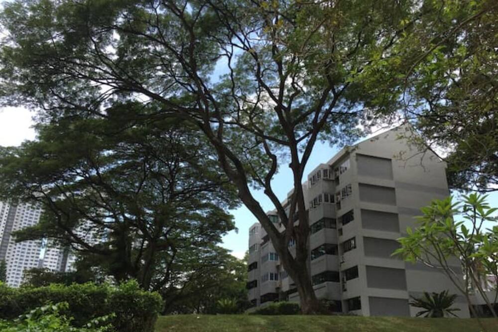 Photo of Others in Toa Payoh