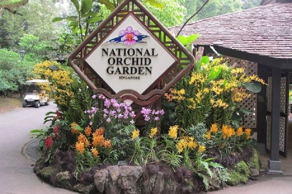 Photo of Outdoor in Singapore