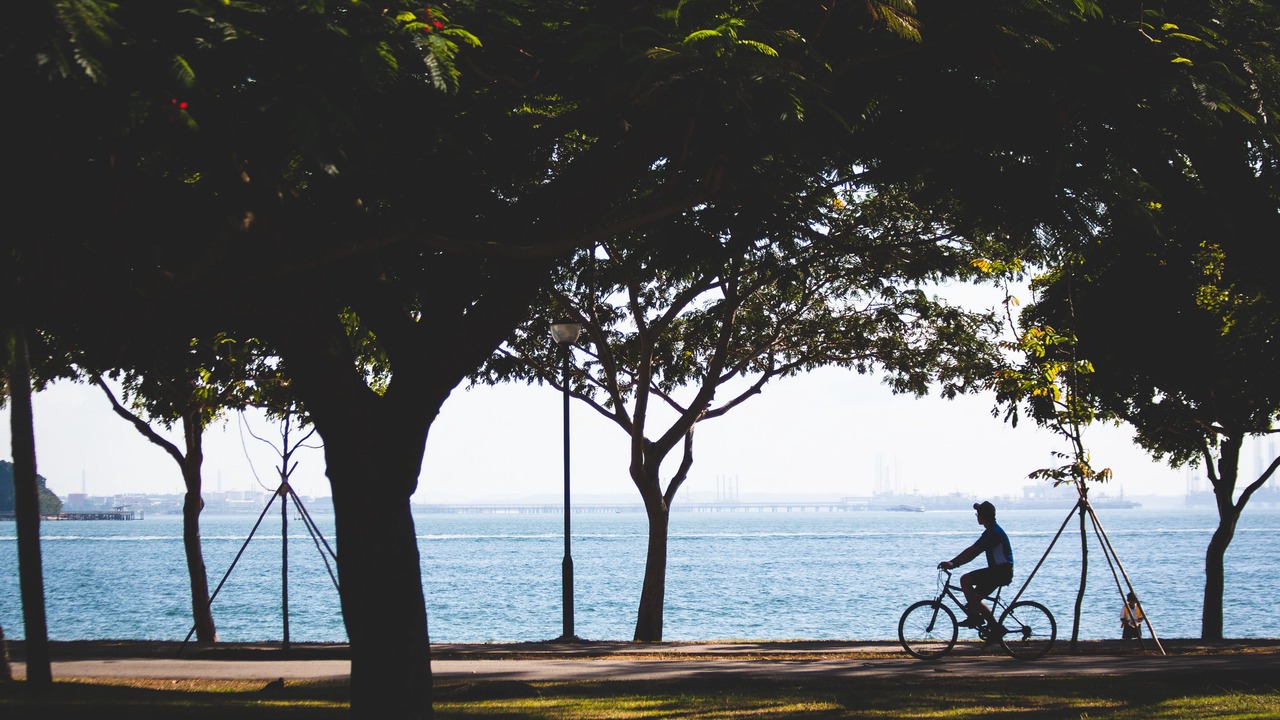 Photo of Others in Changi