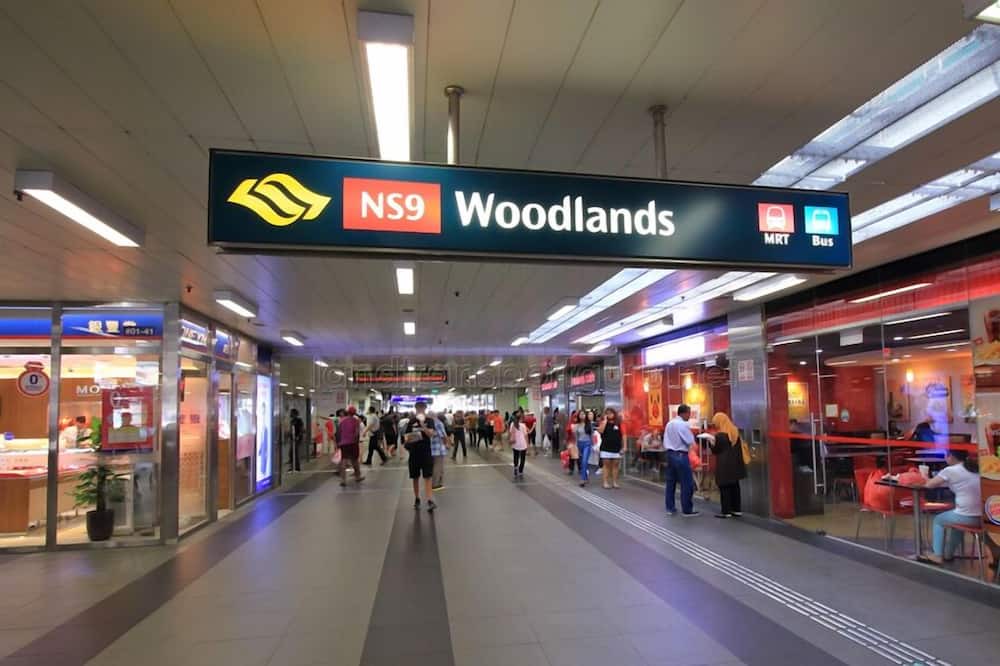 Photo of Outdoor in Woodlands