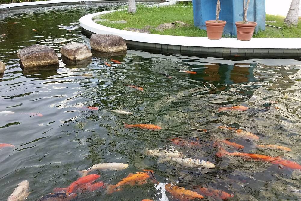 Photo of Outdoor in East Coast