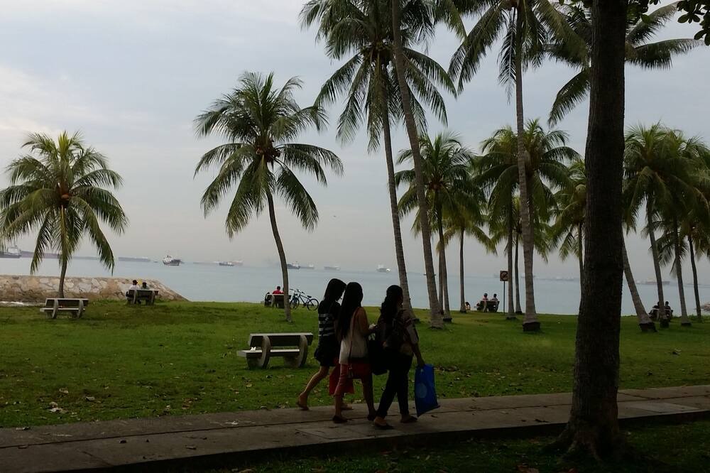 Photo of Others in East Coast