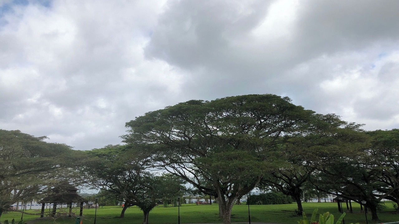 Photo of Outdoor in Pasir Ris