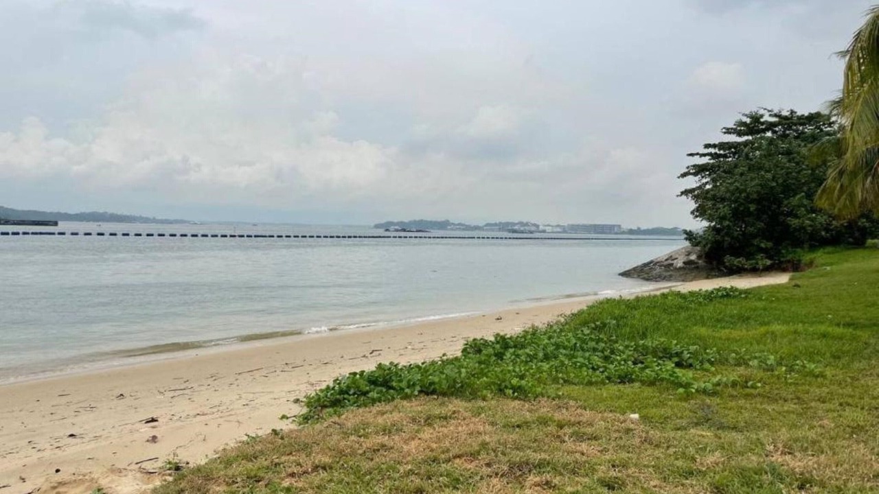 Photo of Others in Pasir Ris