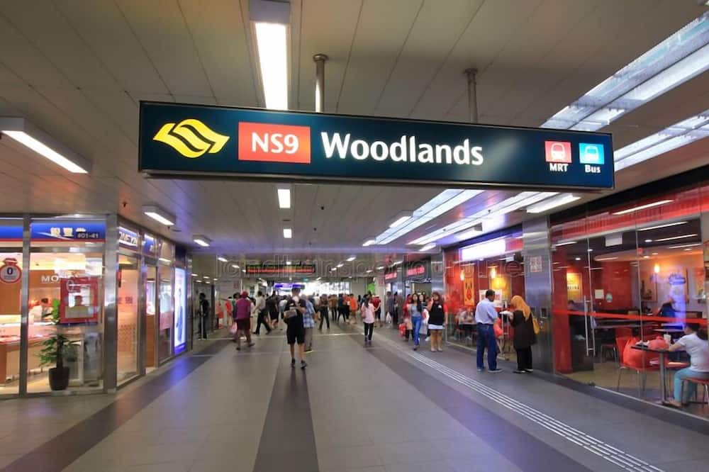 Photo of Outdoor in Woodlands