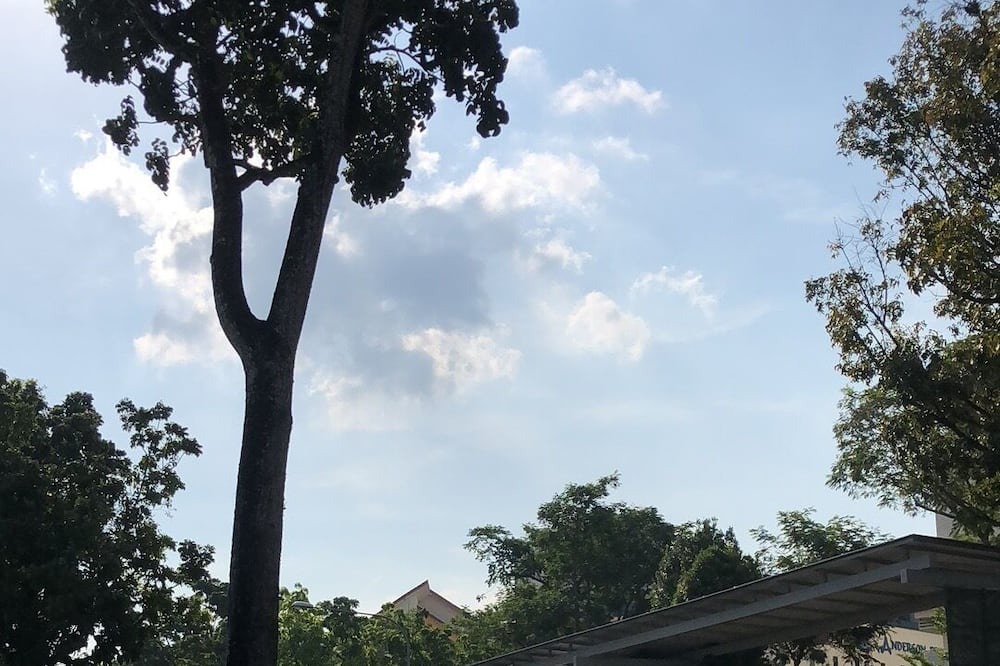 Photo of Outdoor in Chinatown