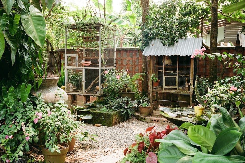 Photo of Outdoor in Bukit Timah