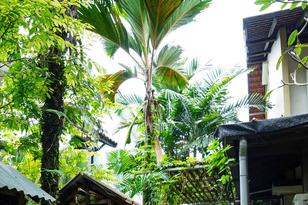 Photo of Outdoor in Bukit Timah