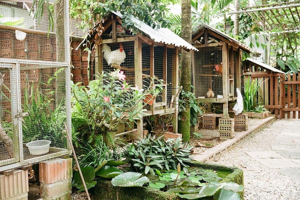 Photo of Others in Bukit Timah