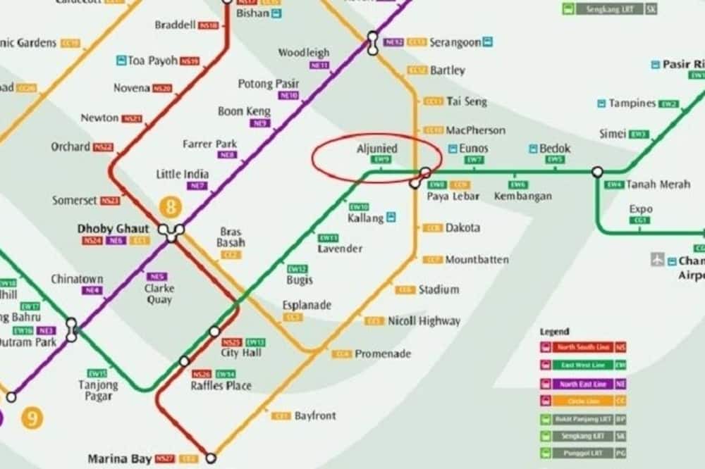Photo of Others in Geylang