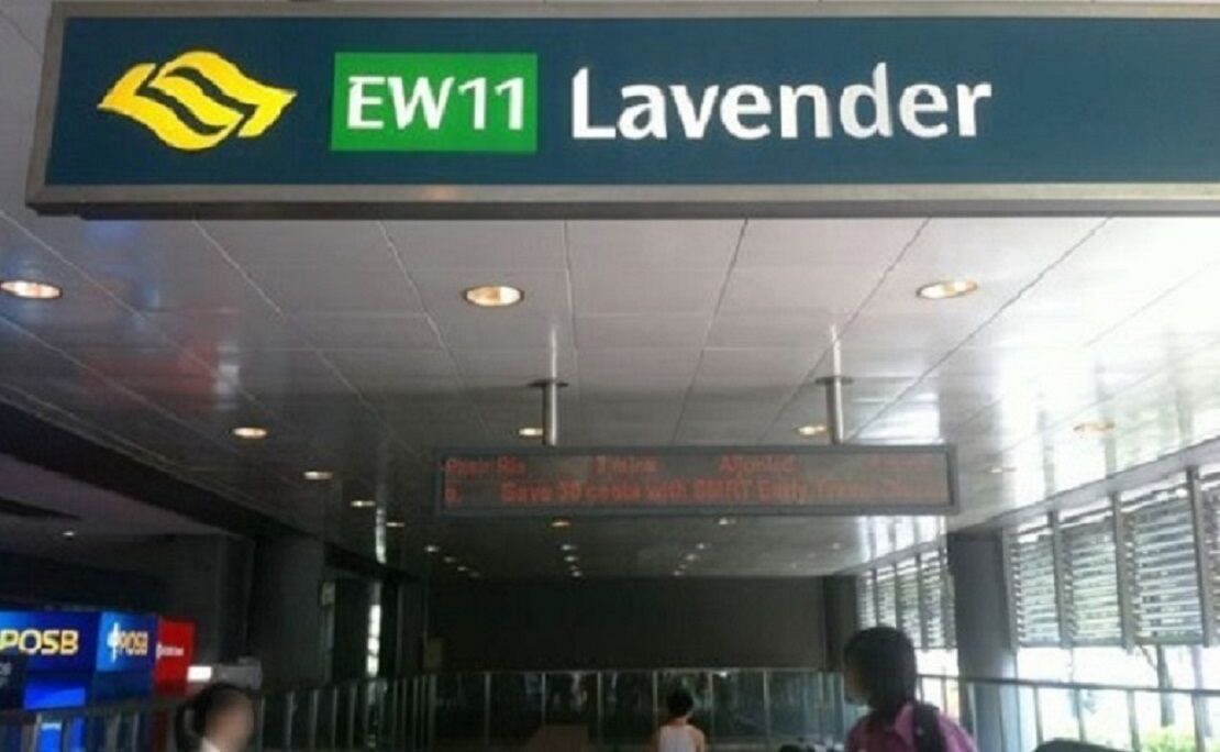 Photo of Outdoor in Lavender