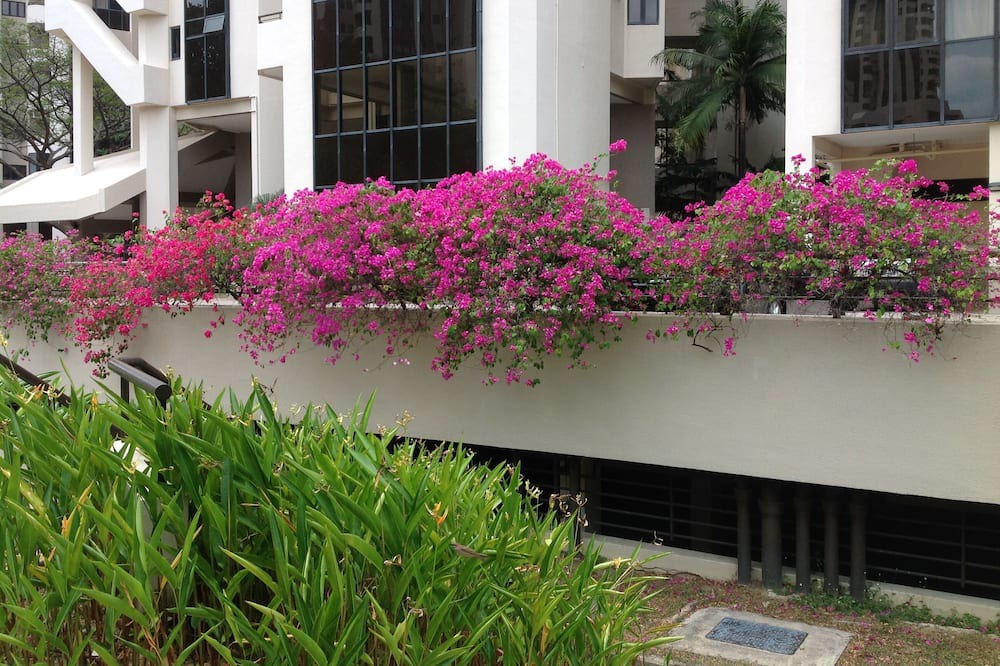 Photo of Outdoor in Bedok