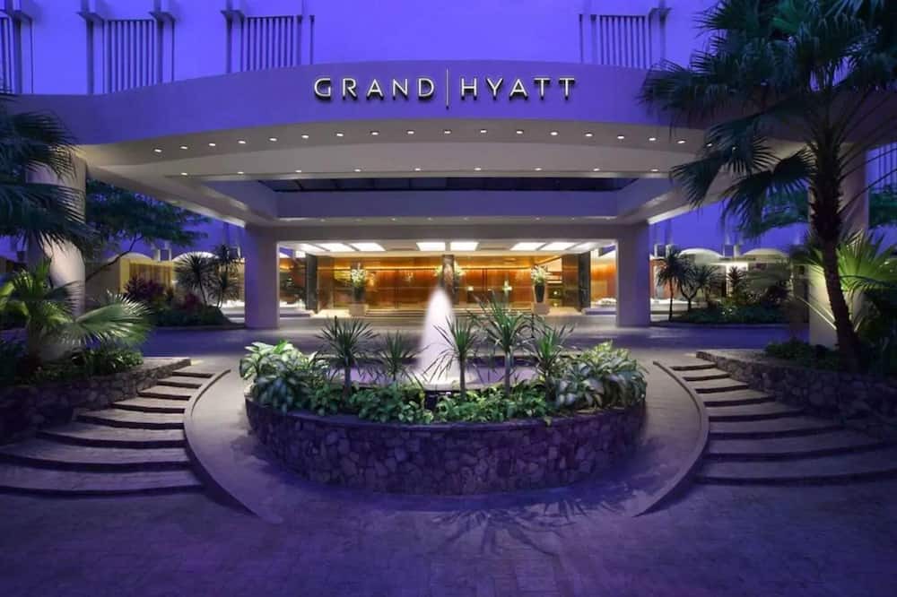 Photo of Outdoor in Orchard