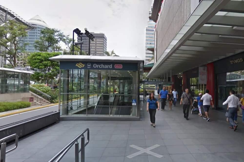 Photo of Outdoor in Orchard