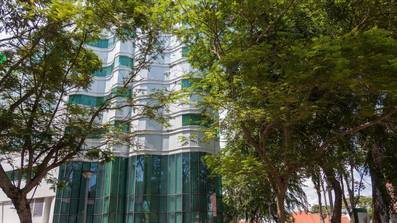 Photo of Outdoor in Changi