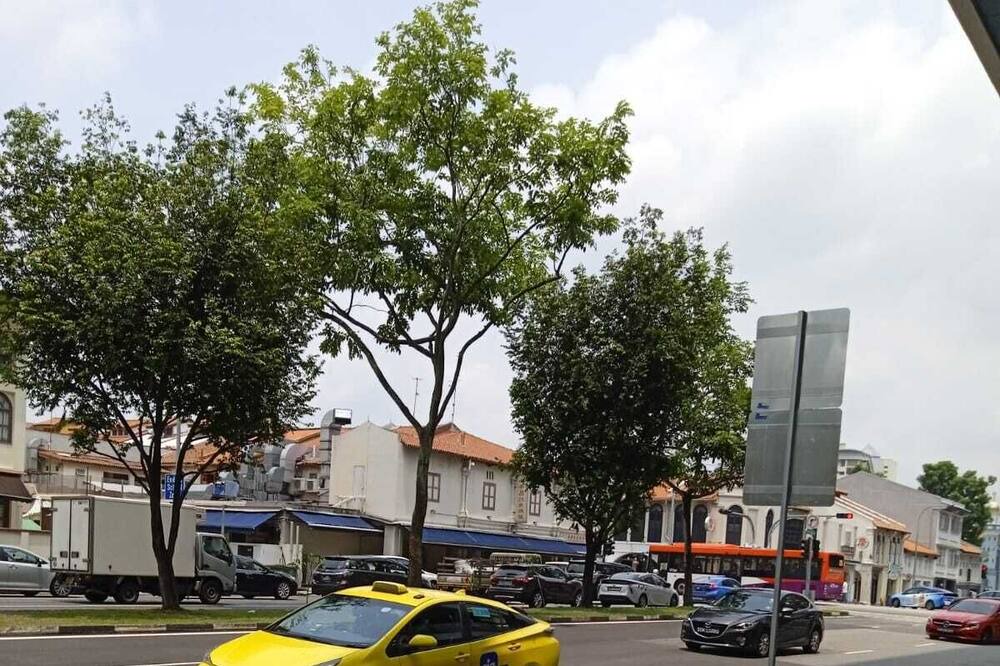 Photo of Outdoor in Little India