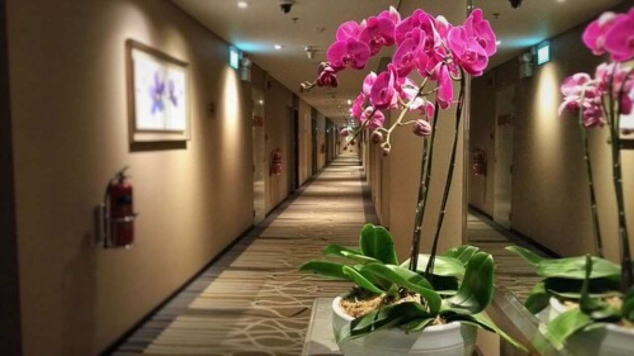 Photo of Others in Changi