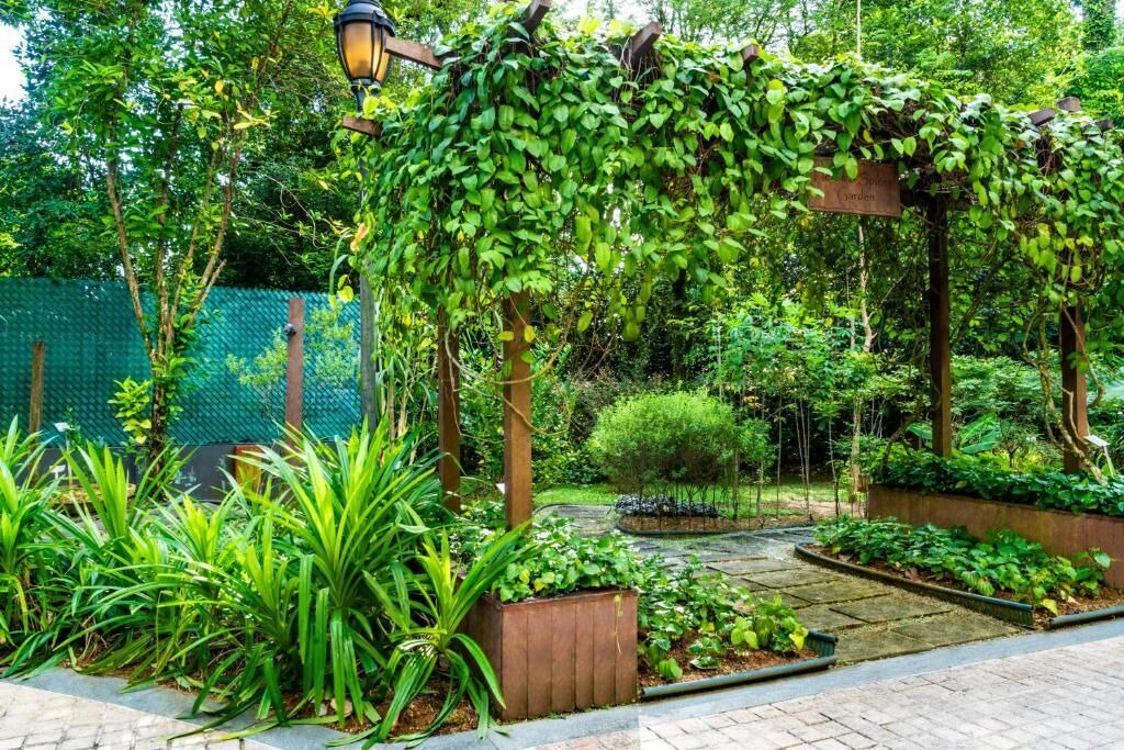 Photo of Outdoor in Orchard