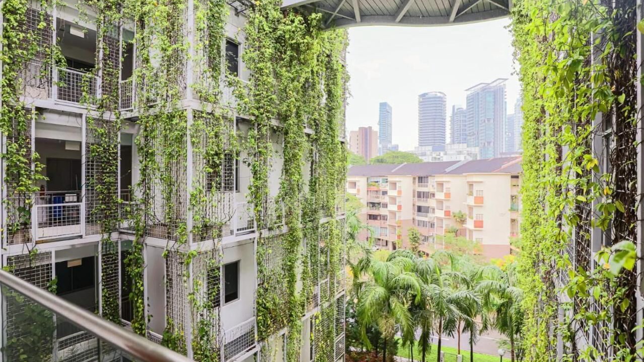 Photo of Outdoor in Downtown Singapore