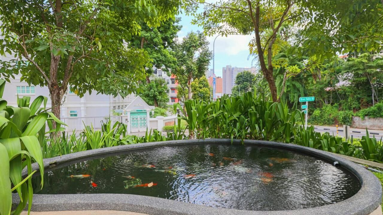 Photo of Outdoor in Downtown Singapore