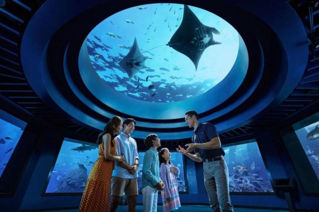 Photo of Others in Resorts World Sentosa