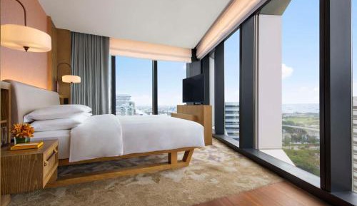 Deluxe King Suite with Bathtub and Shower