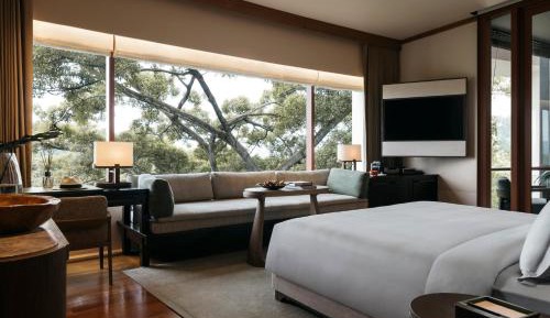 King Room with Garden View