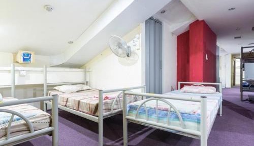Bed in 14-Bed Mixed Dormitory Room