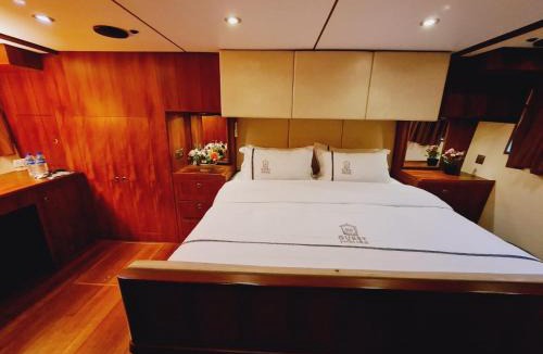 Queenstown Boat Rental | Synergy B